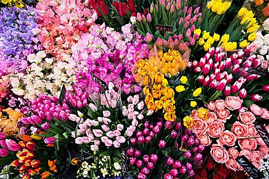 多人开放世界生存制作游戏《鸭界争锋》现已推出抢先体验版并获多半好评