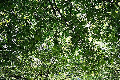 《逃离后室》1.0正式版现已发布，全新关卡、分支结局与更多未知惊喜等待探索